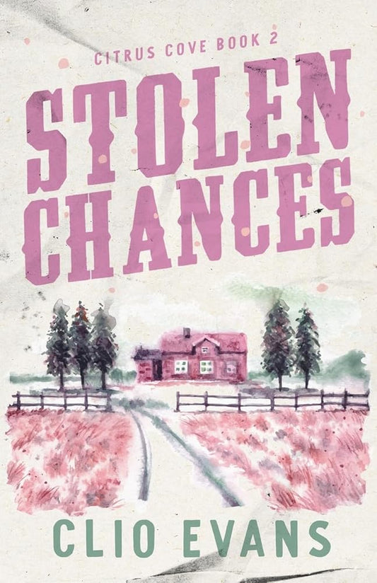 Stolen Chances: A Single Mom, MMF, Small Town Romance Suspense cover image