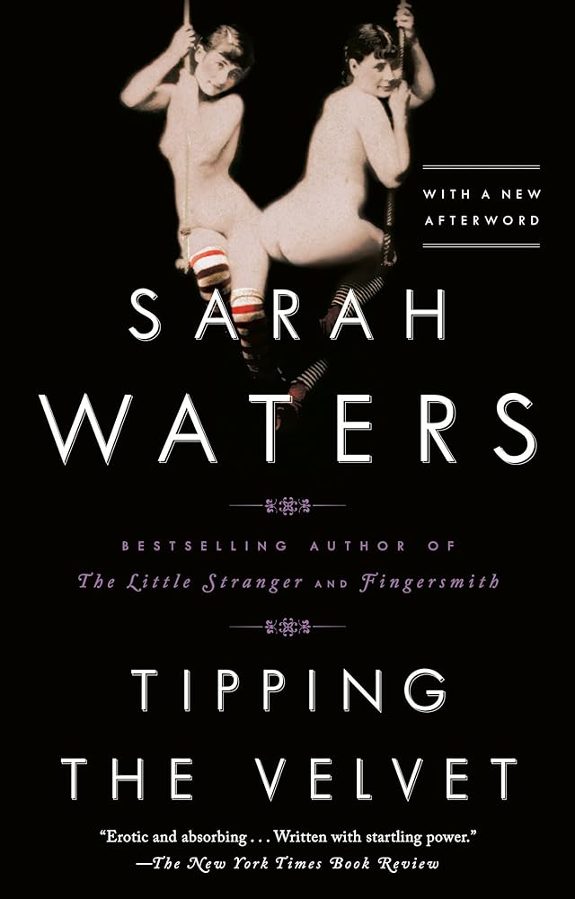 Tipping the Velvet: A Novel cover image